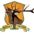 Kingly_velvet_logo