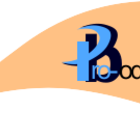 Pro-body-logo4