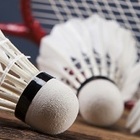 Badminton_